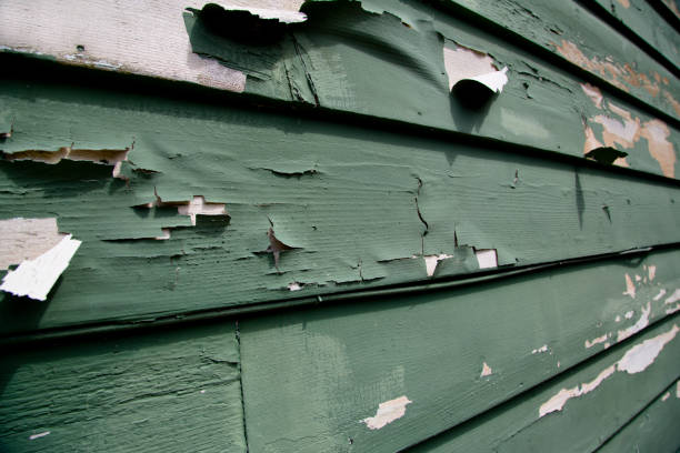Demolition Debris Removal in Key Largo, FL